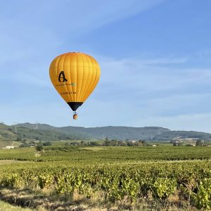 Vol Classique Beaujolais