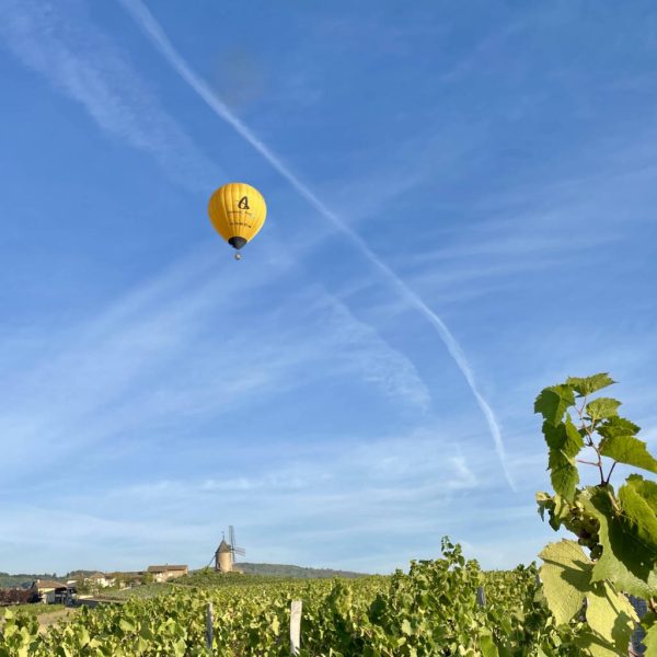 Vol Classique Beaujolais – Image 4